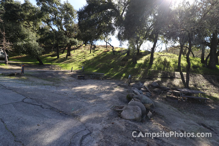 Lopez Lake Quail 019