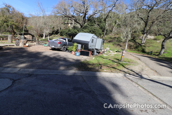 Lopez Lake Quail 024