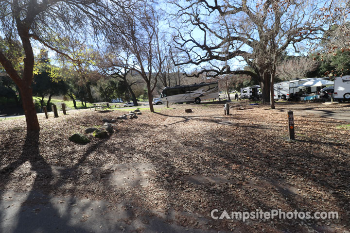 Lopez Lake Quail 029