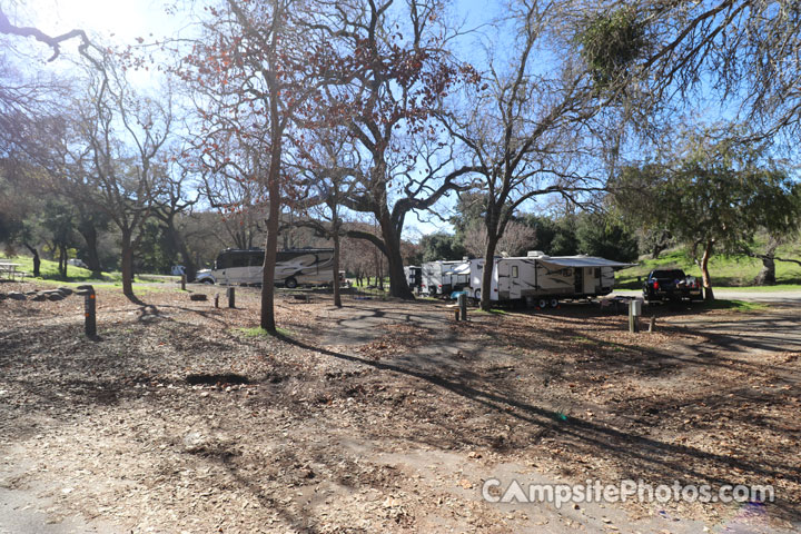 Lopez Lake Quail 030