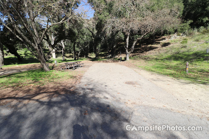 Lopez Lake Quail 032