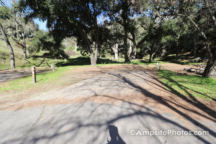 Lopez Lake Quail 033