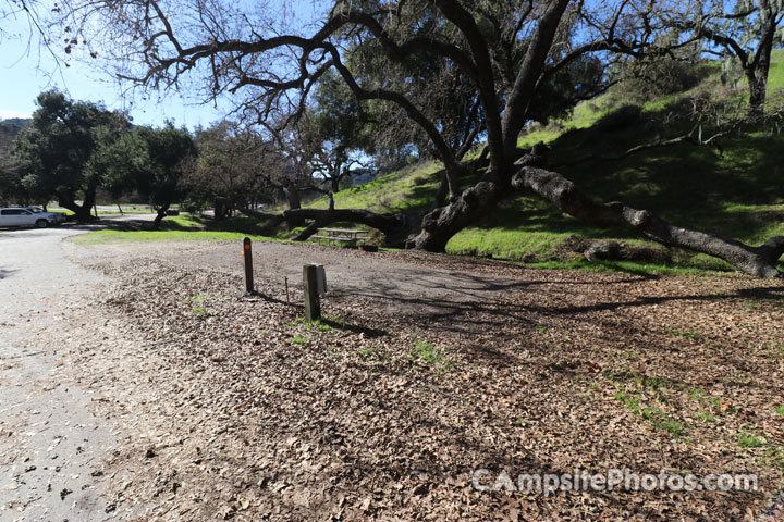 Lopez Lake Quail 035