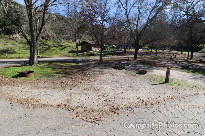 Lopez Lake Quail 036