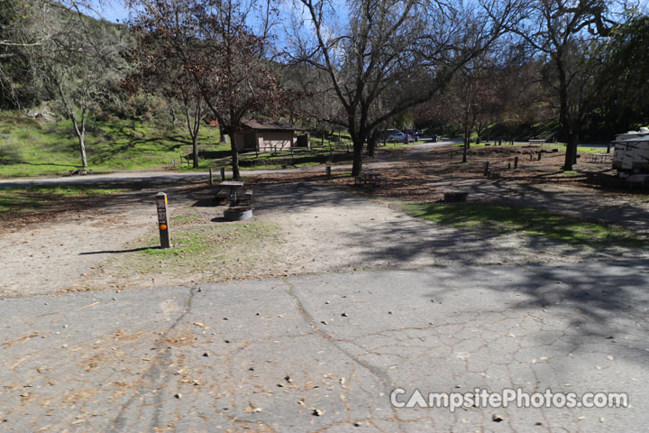 Lopez Lake Quail 037