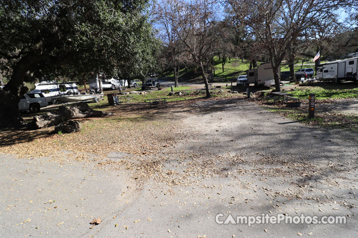 Lopez Lake Quail 042