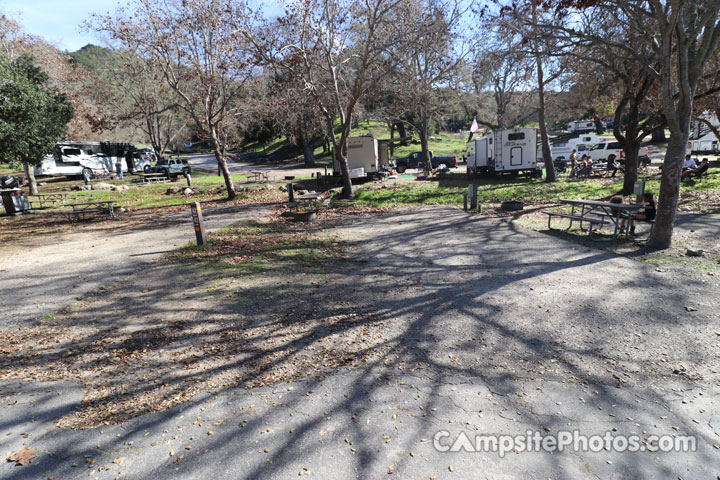 Lopez Lake Quail 043