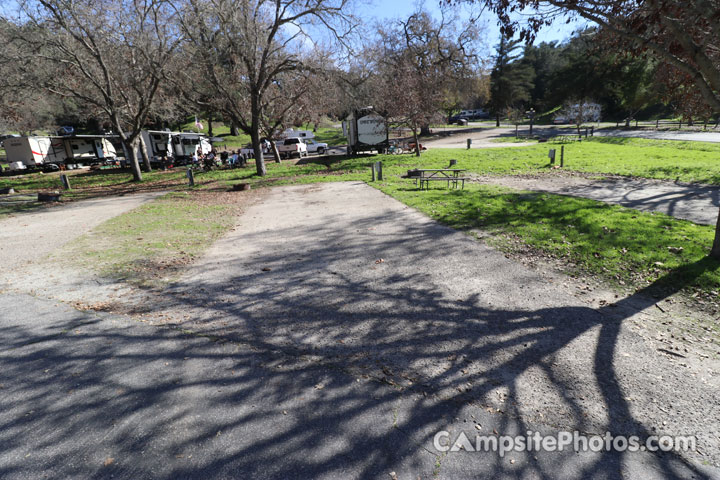 Lopez Lake Quail 046