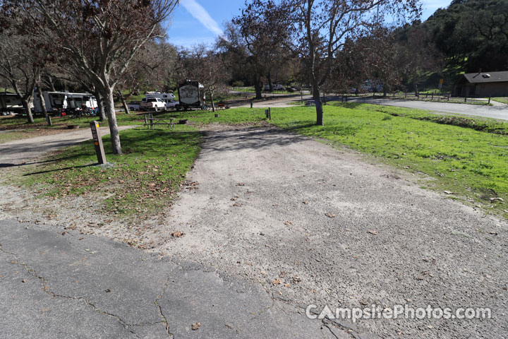 Lopez Lake Quail 047