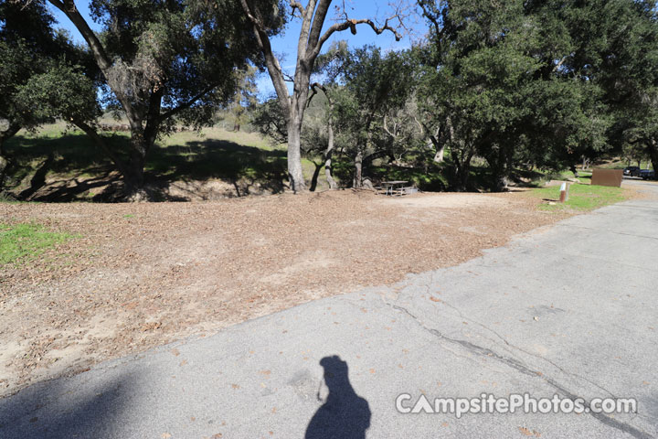 Lopez Lake Quail 048