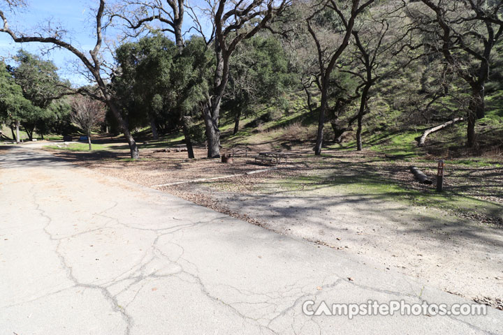 Lopez Lake Squirrel 009