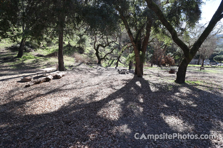 Lopez Lake Squirrel 010