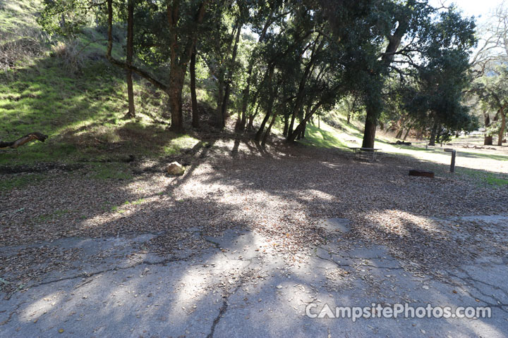 Lopez Lake Squirrel 013