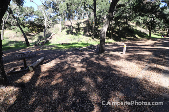 Lopez Lake Squirrel 018