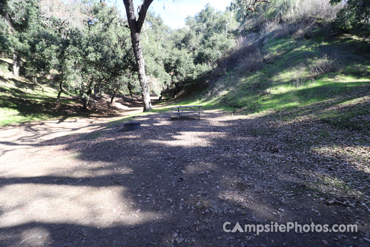 Lopez Lake Squirrel 021