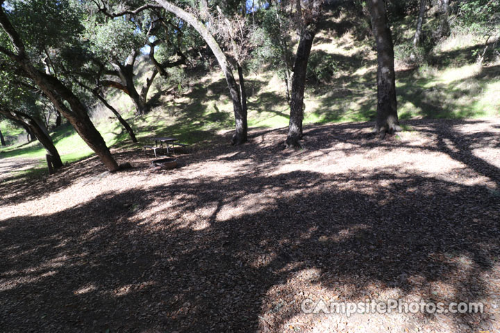 Lopez Lake Squirrel 023