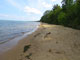 Brimley State Park Beach