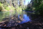 Dolly Varden Campground Fall Creek View