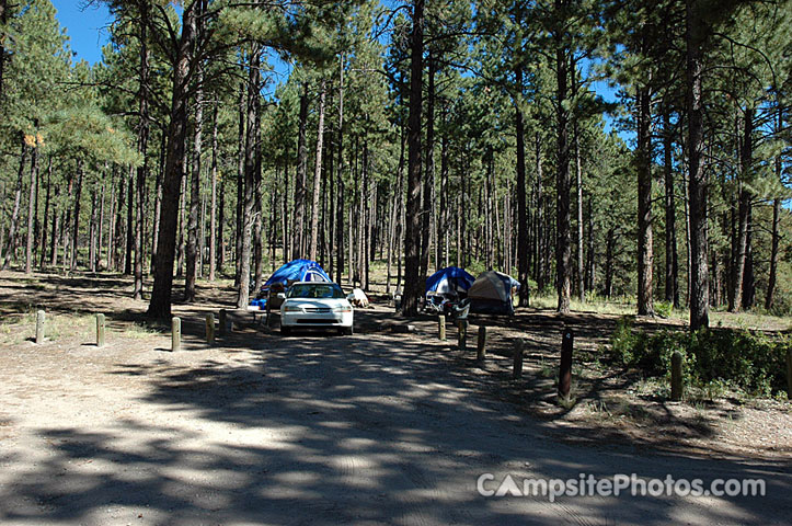 Fenton Lake 004