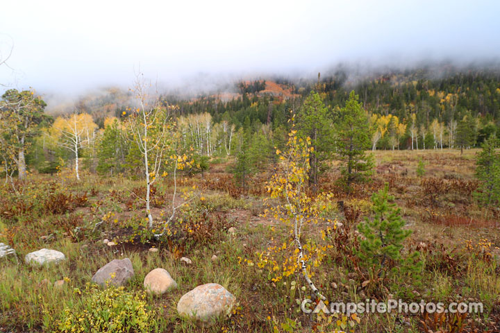 Shady Dell Campground Scenic