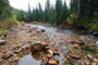 Cobblerest Campground Lower Provo River Scenic