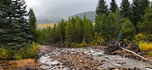 Lower Provo River