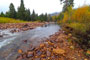 Lower Provo River Campground River Scenic