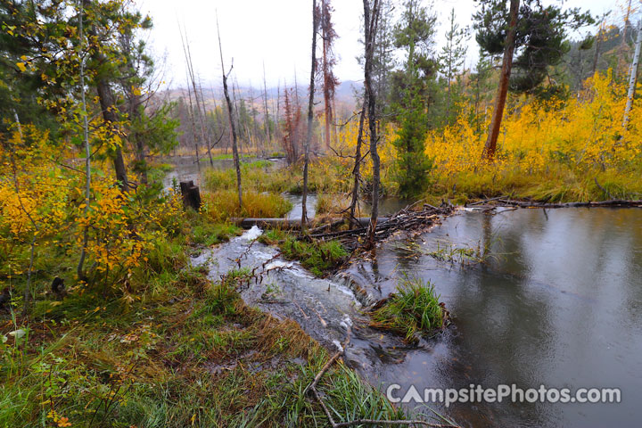 Shingle Creek Campground Creek View