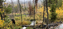 Shingle Creek ATV