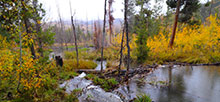 Shingle Creek ATV