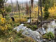 Shingle Creek ATV Campground Scenic