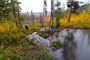 Shingle Creek Campground Creek View