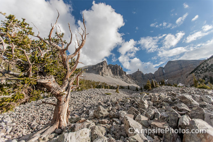 Great Basin NP Scenic