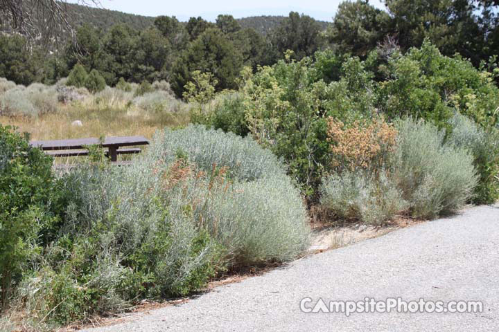 Lower Lehman Creek 012