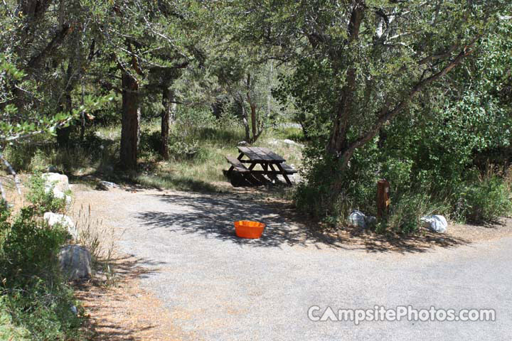 Upper Lehman Creek 010