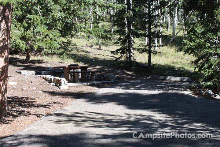 Wheeler Peak 019