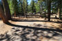 Pardoes Point Campground 005