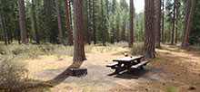 Riverside (Deschutes National Forest)