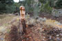 Spring Valley State Park Horsethief Gulch Campground Carved Head