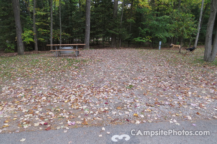 Burt Lake State Park 003