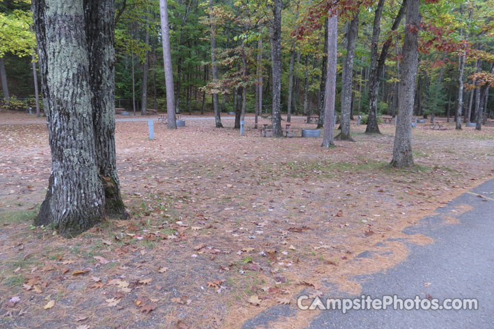 Burt Lake State Park 164