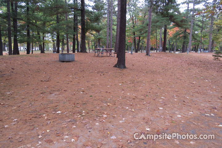 Burt Lake State Park 253