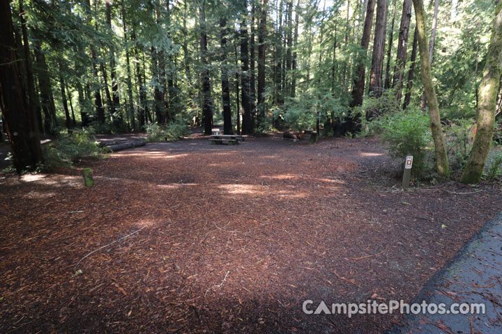 Memorial Park Azalea Flat 009