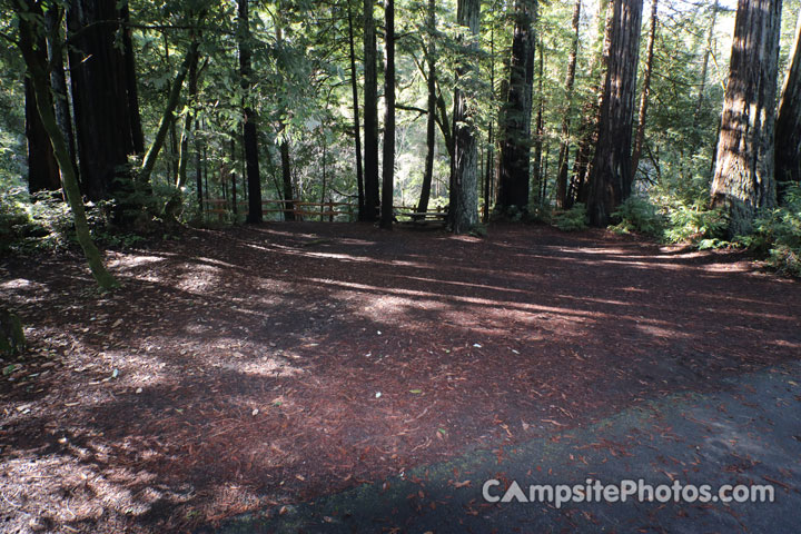 Memorial Park Azalea Flat 014