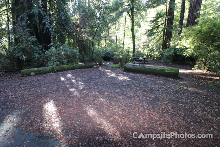 Memorial Park Azalea Flat 020