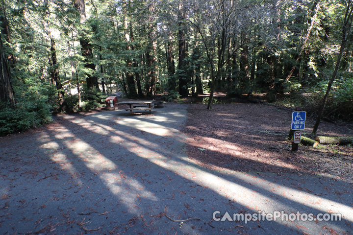 Memorial Park Azalea Flat 029