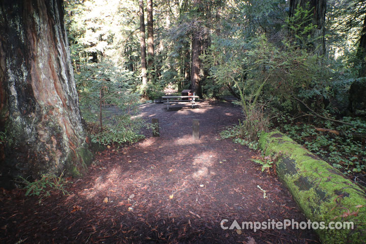 Memorial Park Azalea Flat 035