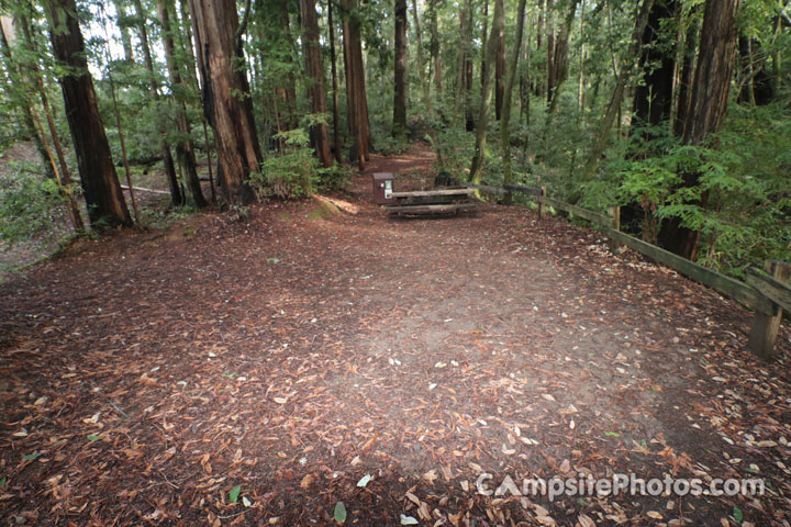 Memorial Park Sequoia Flat C025