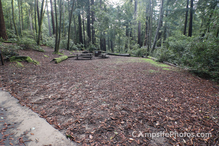 Memorial Park Sequoia Flat C037