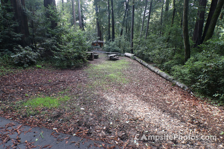 Memorial Park Sequoia Flat C039